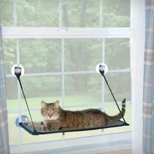 EZ Mount Kitty Sill for $13 EZ Mount Kitty Sill for $13