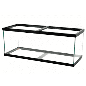 Aqueon 55-Gallon Frameless Aquarium for $75 Aqueon 55-Gallon Frameless Aquarium for $75
