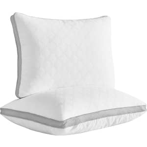 Lariess Queen Plush Pillow 2-Pack for $22