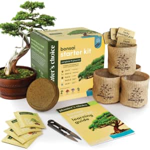 Planter's Choice Bonsai Starter Kit for $15