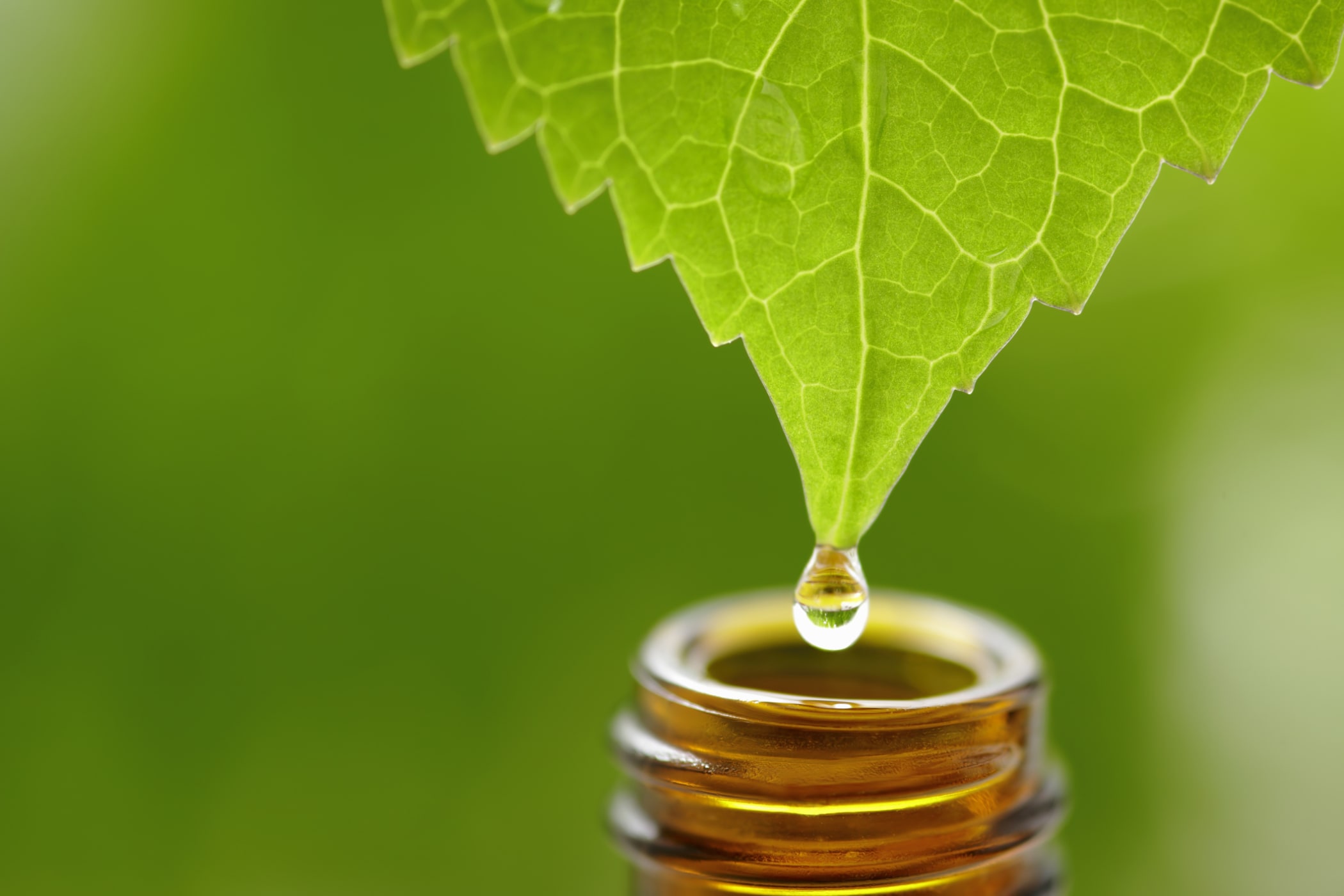 Herbal Medicine