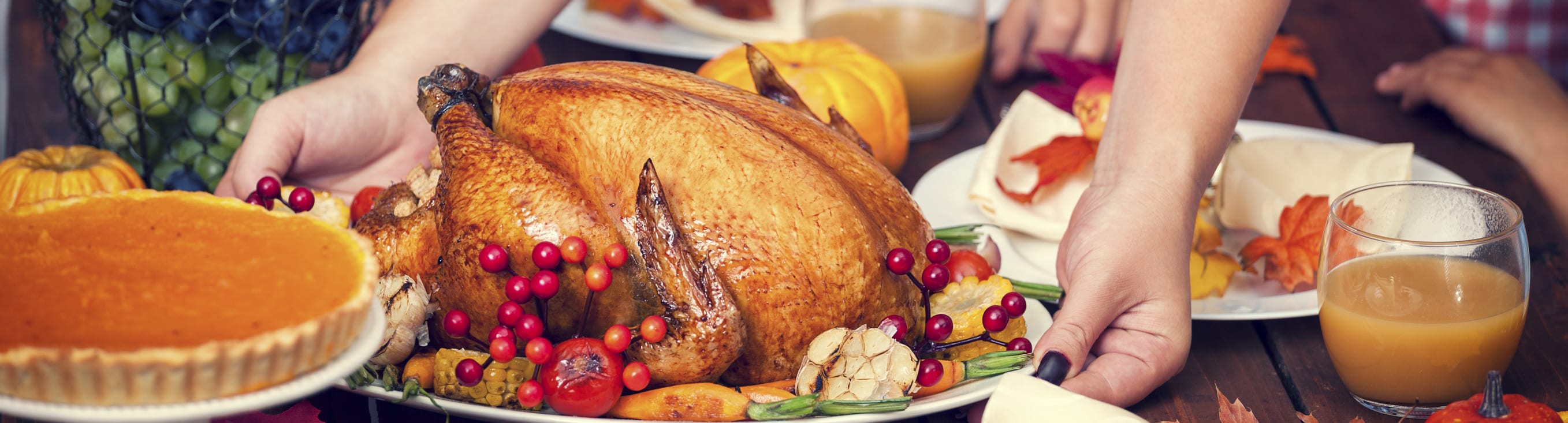 Thanksgiving dinner