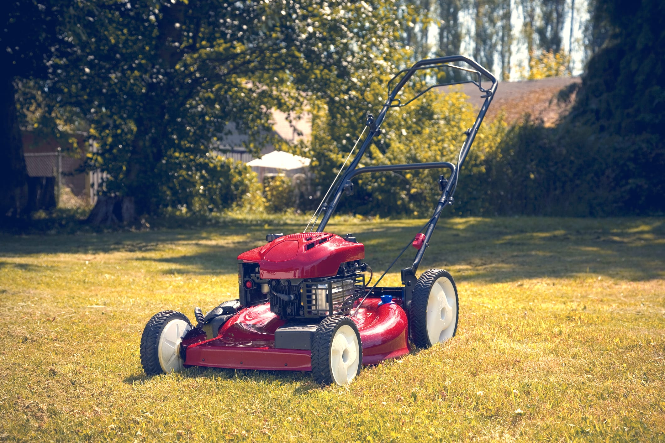red lawn mower in yard
