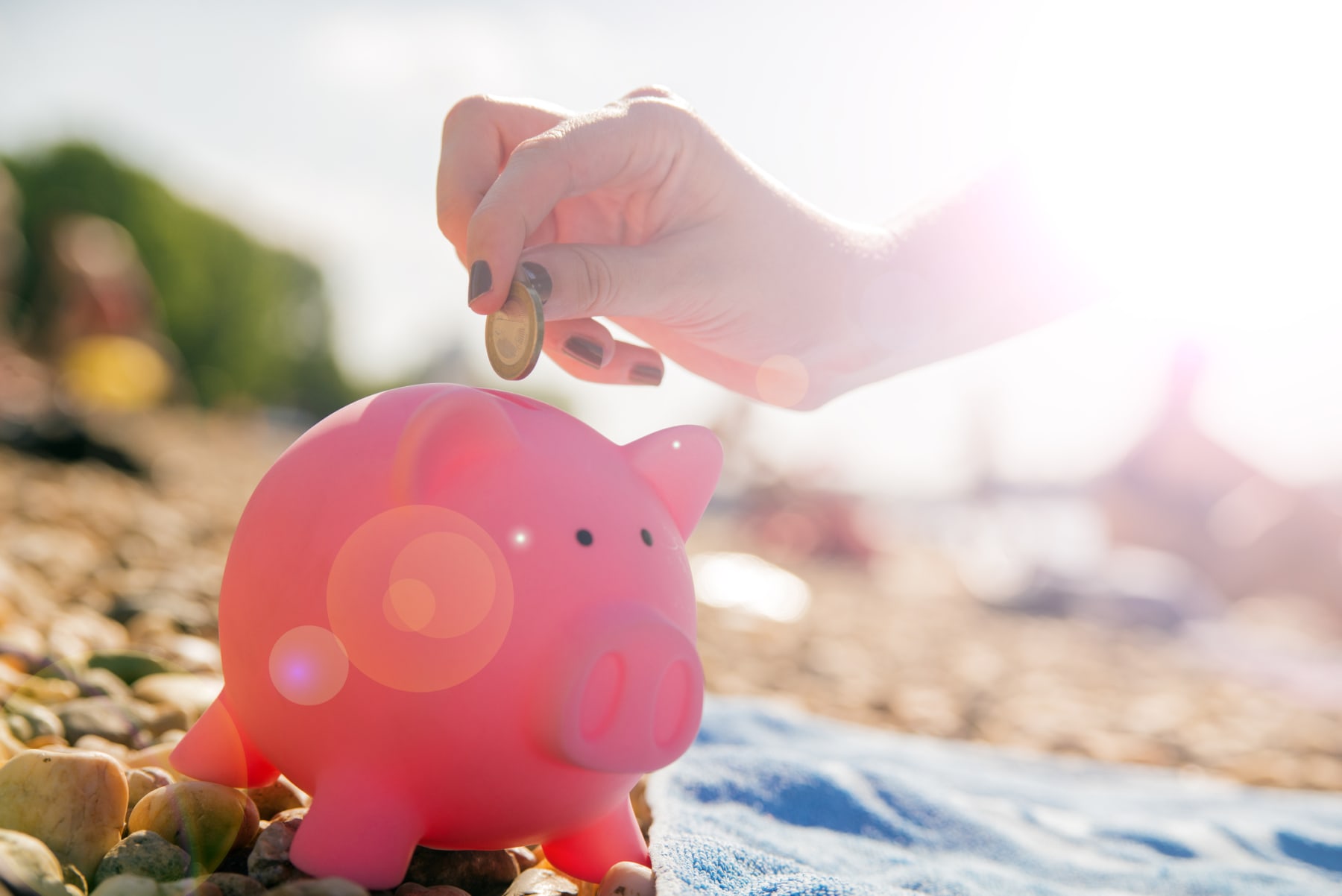 Piggy Bank on the Beach