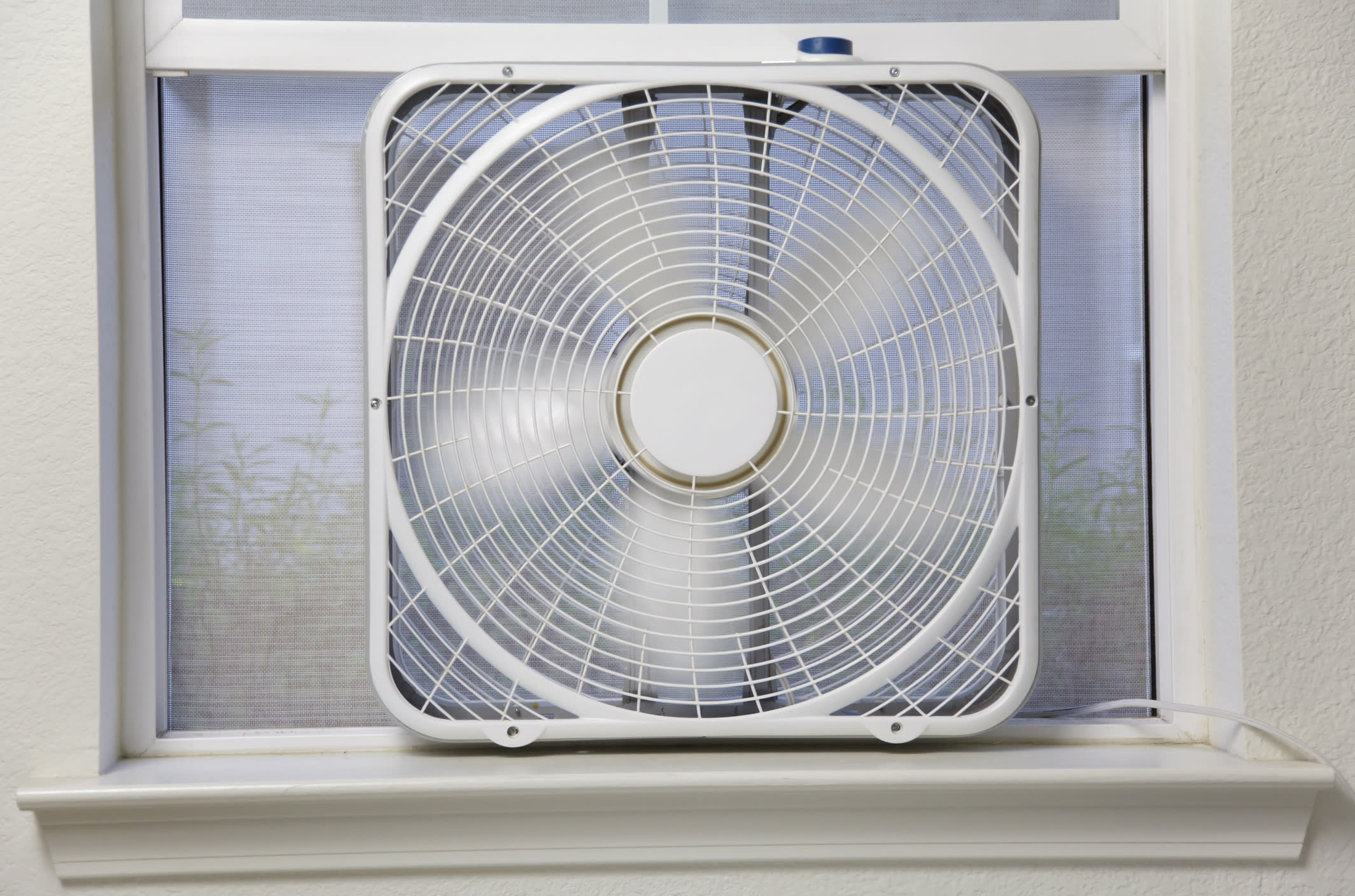 how to buy a fan