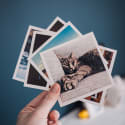 7 Easy Ways to Save Money at Shutterfly