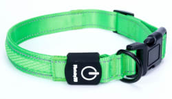 Light Up Collar for $12 + $3.99 shipping