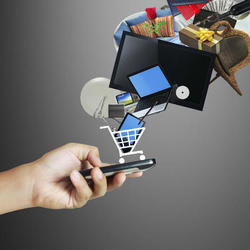 Mobile Shopping on the Rise: What Stores Do You Shop on Your Phone?