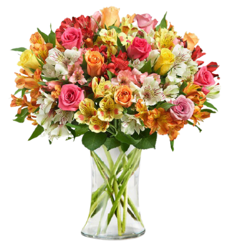 Flowers & Gifts at 1-800-Flowers: 15% off + shipping varies