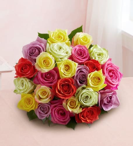 Two Dozen Assorted Roses from $30 + shipping varies