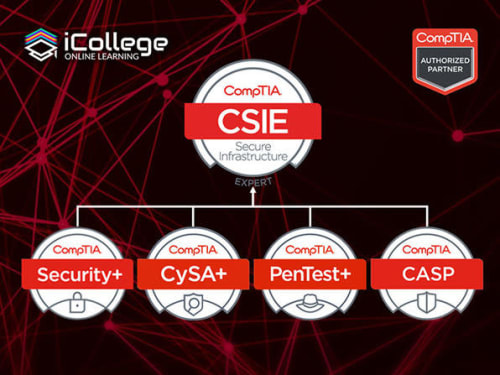 The CompTIA Security Infrastructure Expert Bundle for $21